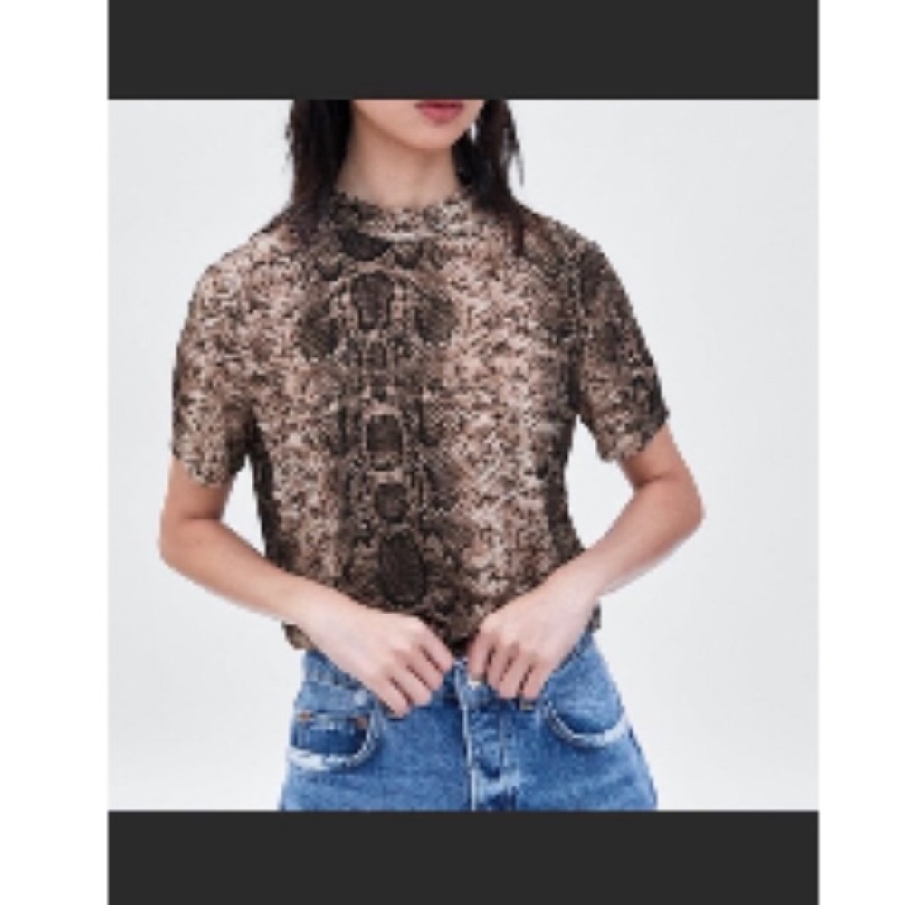 Zara Trafaluc Snake Skin Short Sleeve Top
